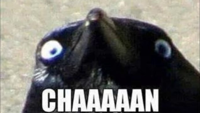 Опыты с воронами