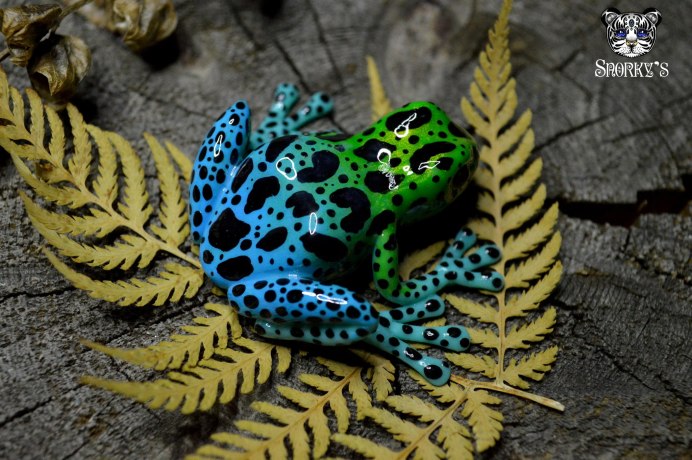 Полимерная глина ящерица