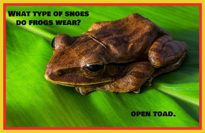 Зеленая жаба с забавным жуком