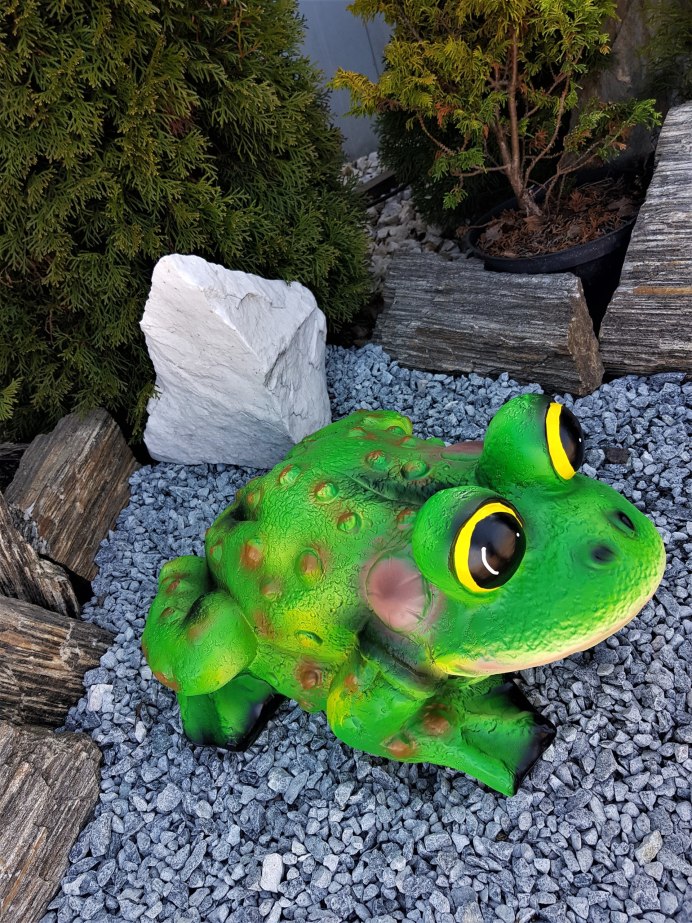 Древесная лягушка квакша