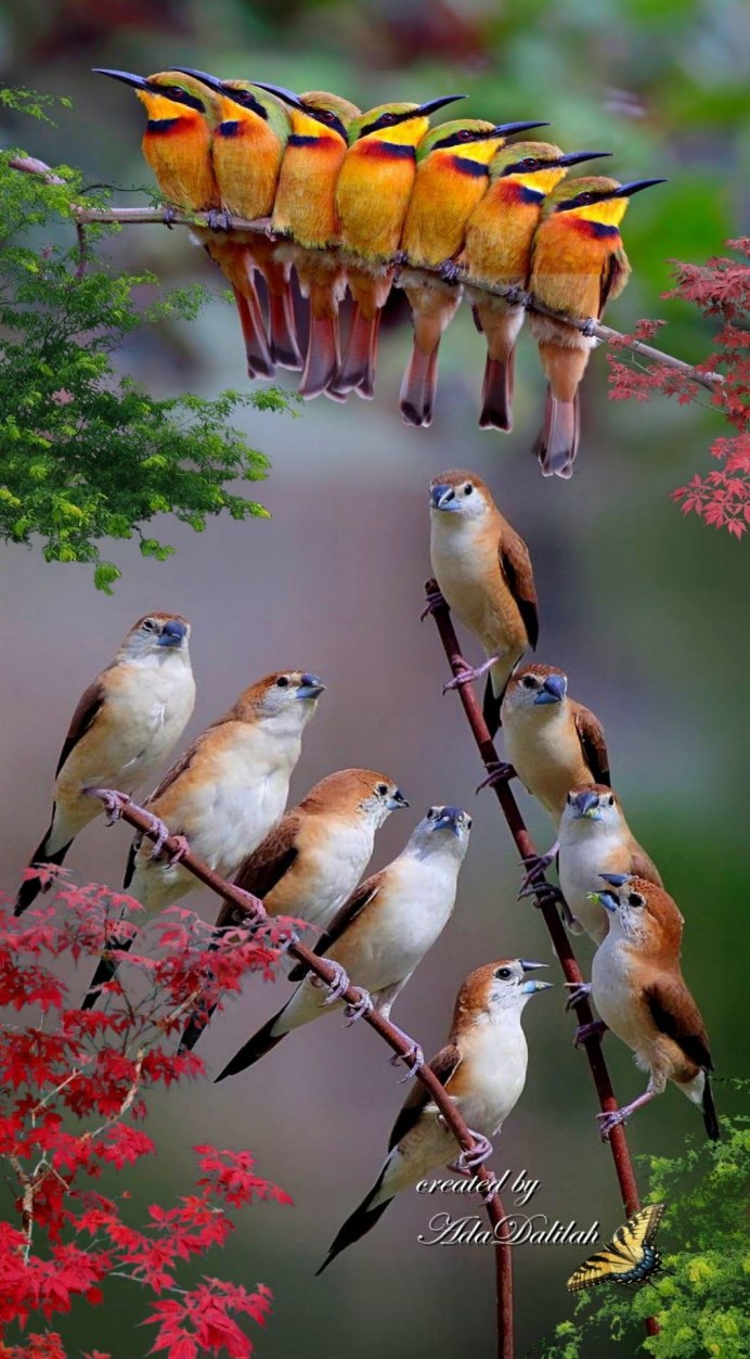Природа птицы