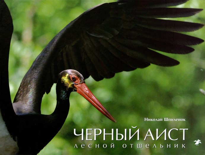 Чёрный Аист Лесной отшельник