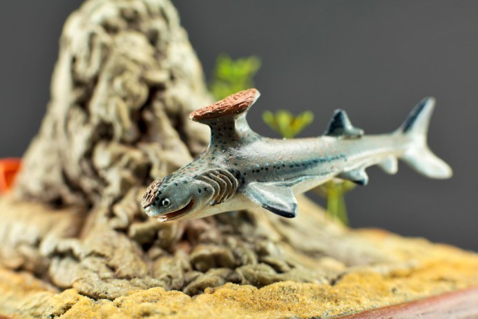 Стетекантов (Stethacanthus),