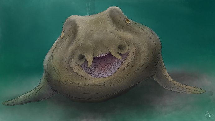 Hybodus (Mount)