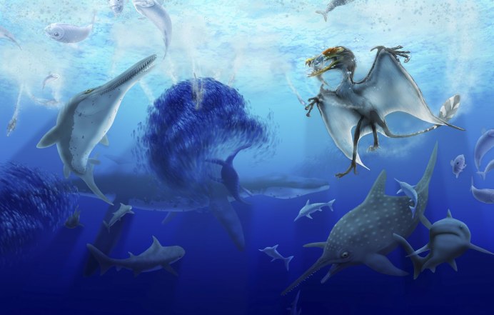 Стетекантов (Stethacanthus),
