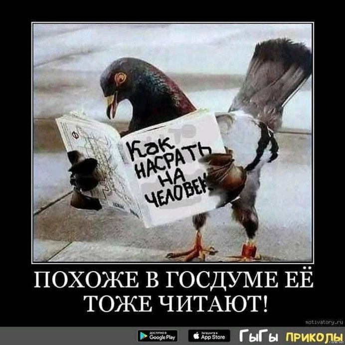 Полярная Сова улыбается