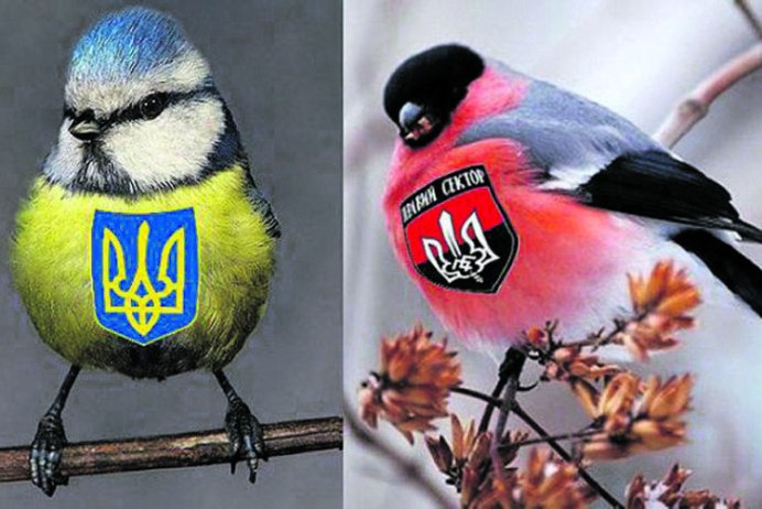 Сибирская птичка с хохолком