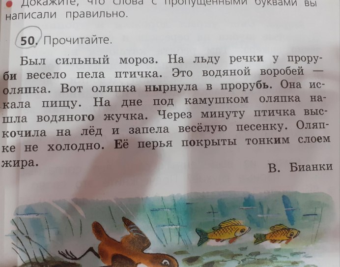 Перьевой Покров птицы таблица