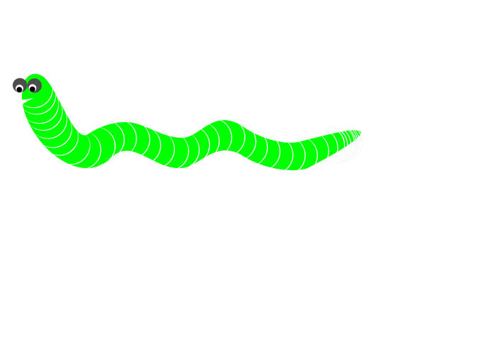 Tylorrhynchus osawai
