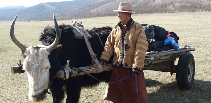 Карпатский ЗУБР