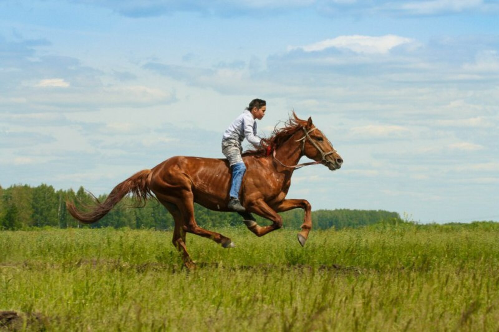 Наездник на лошади