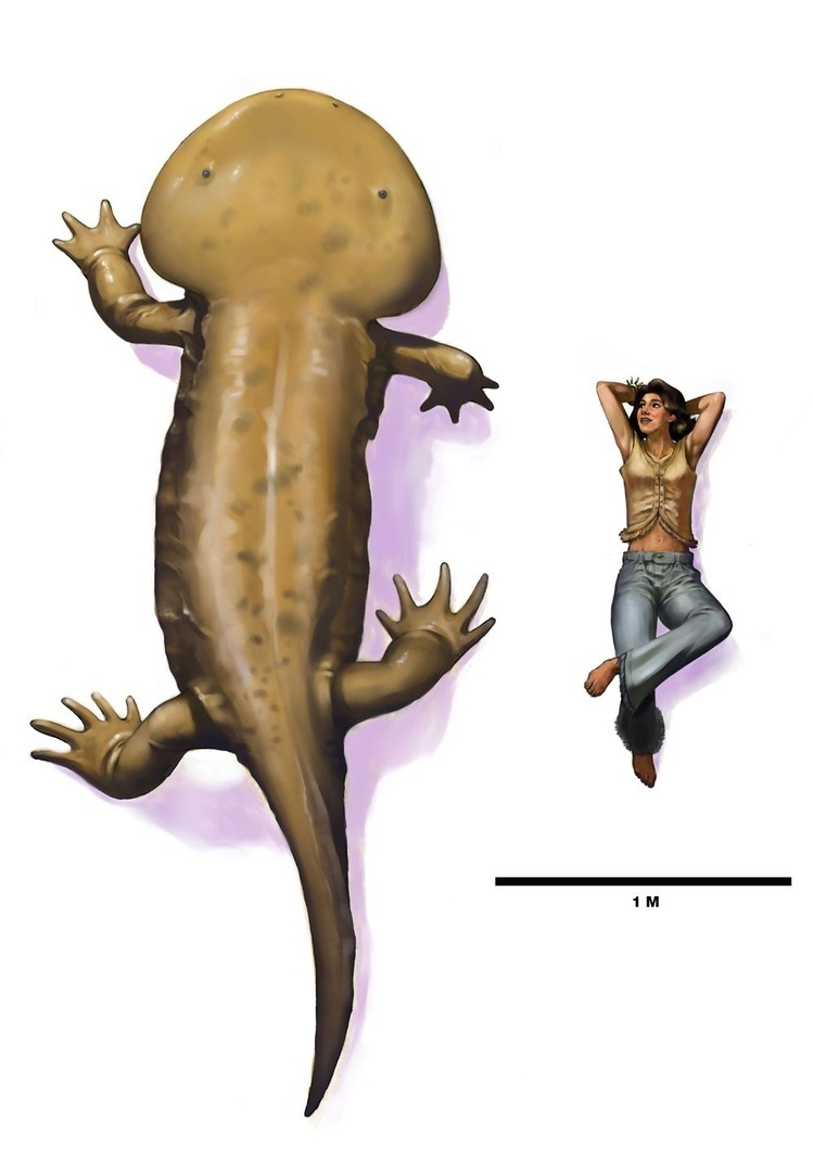 Koolasuchus cleelandi