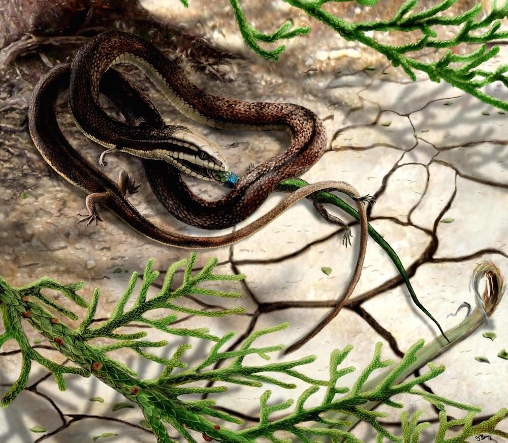 Snake with Legs