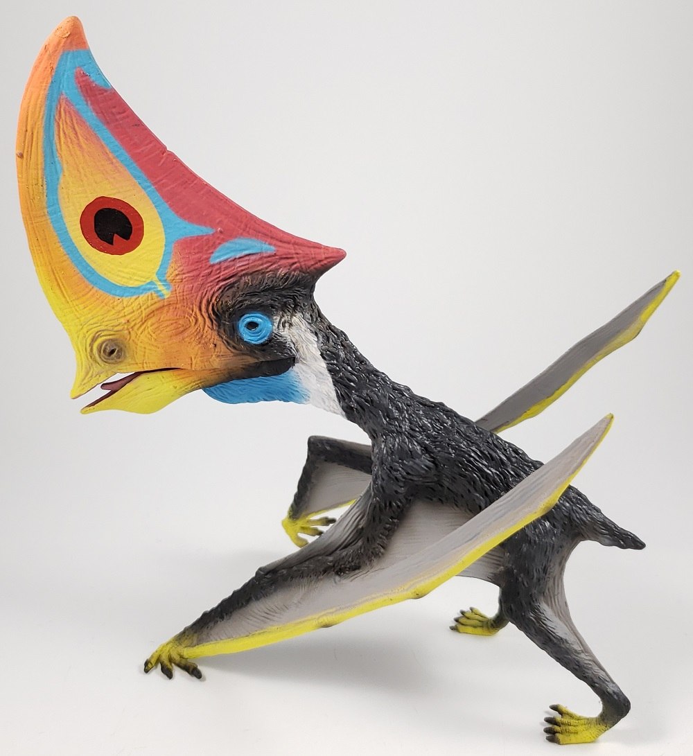 Collecta Caiuajara.