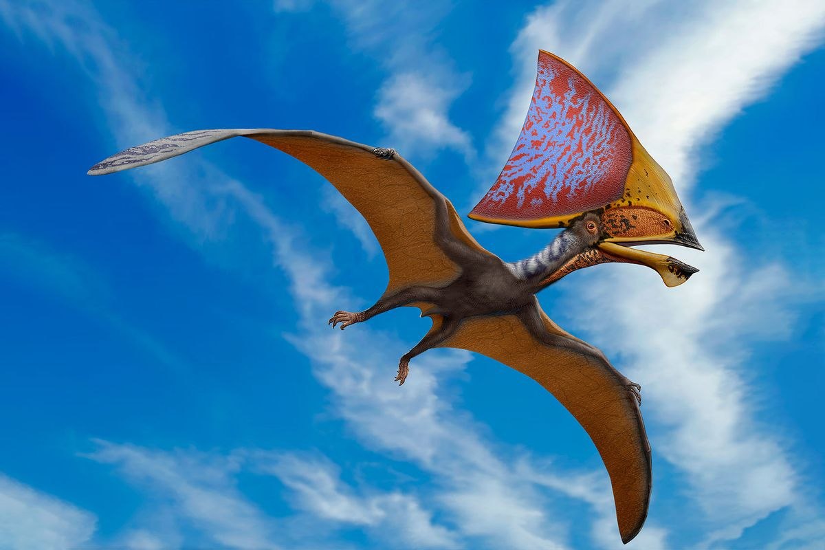 летающие динозавры картинки с названиями