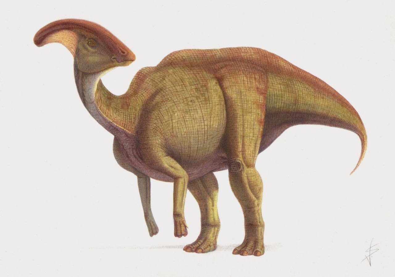 Гадрозавр динозавр