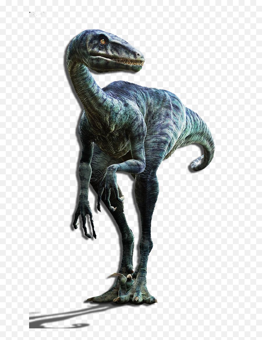 Eoraptor Lunensis