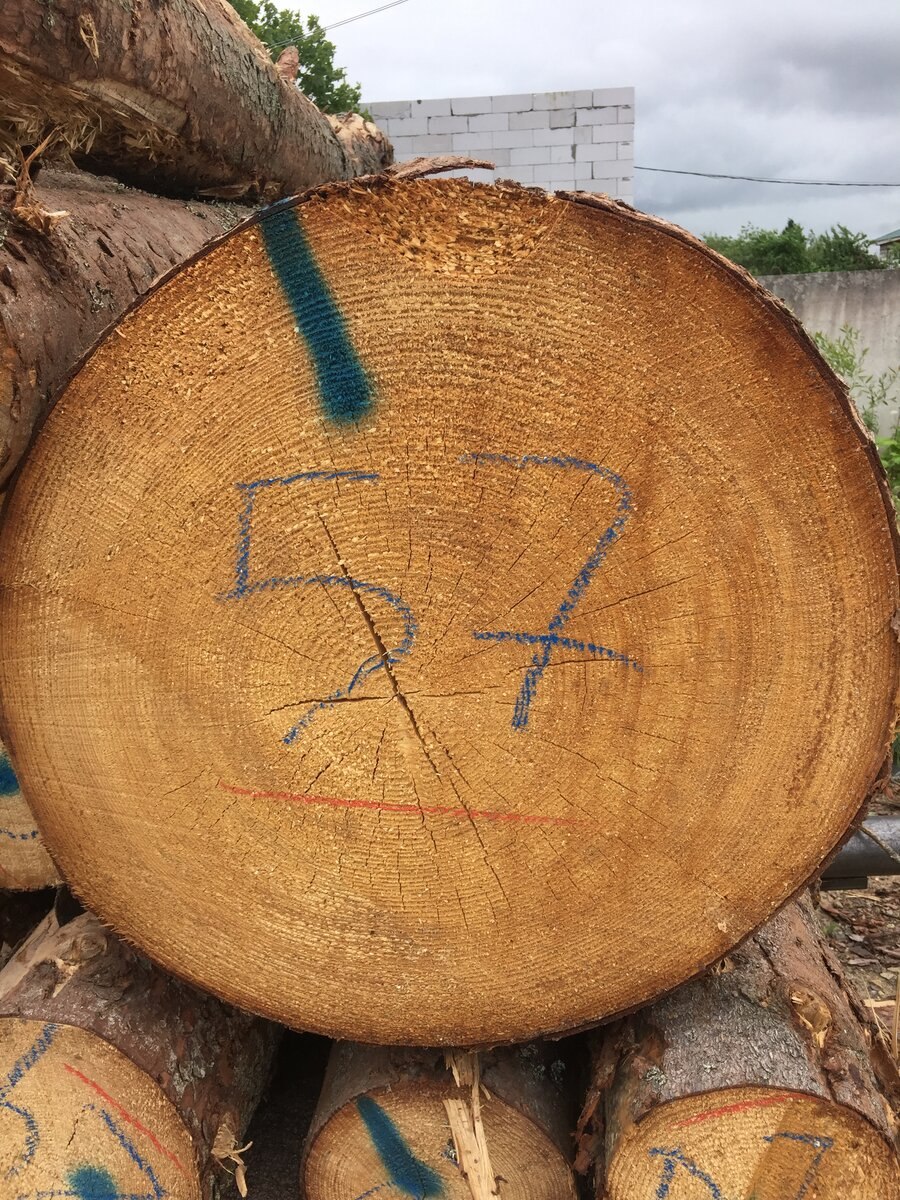 Кругляки