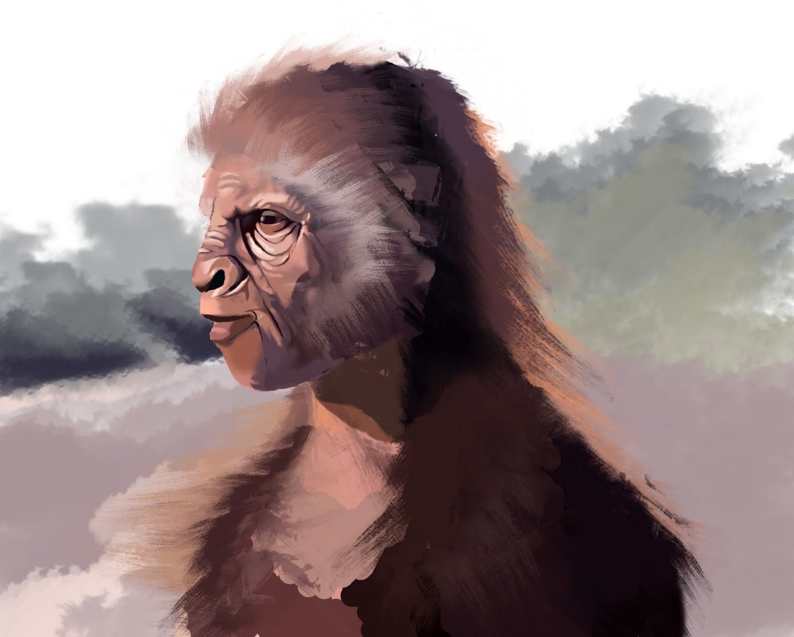 Homo ergaster. Хомо хабилис. Nakalipithecus.