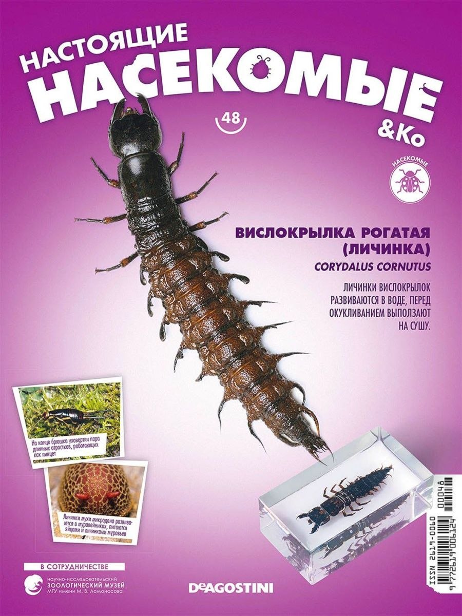 Настоящие насекомые и ко ДЕАГОСТИНИ