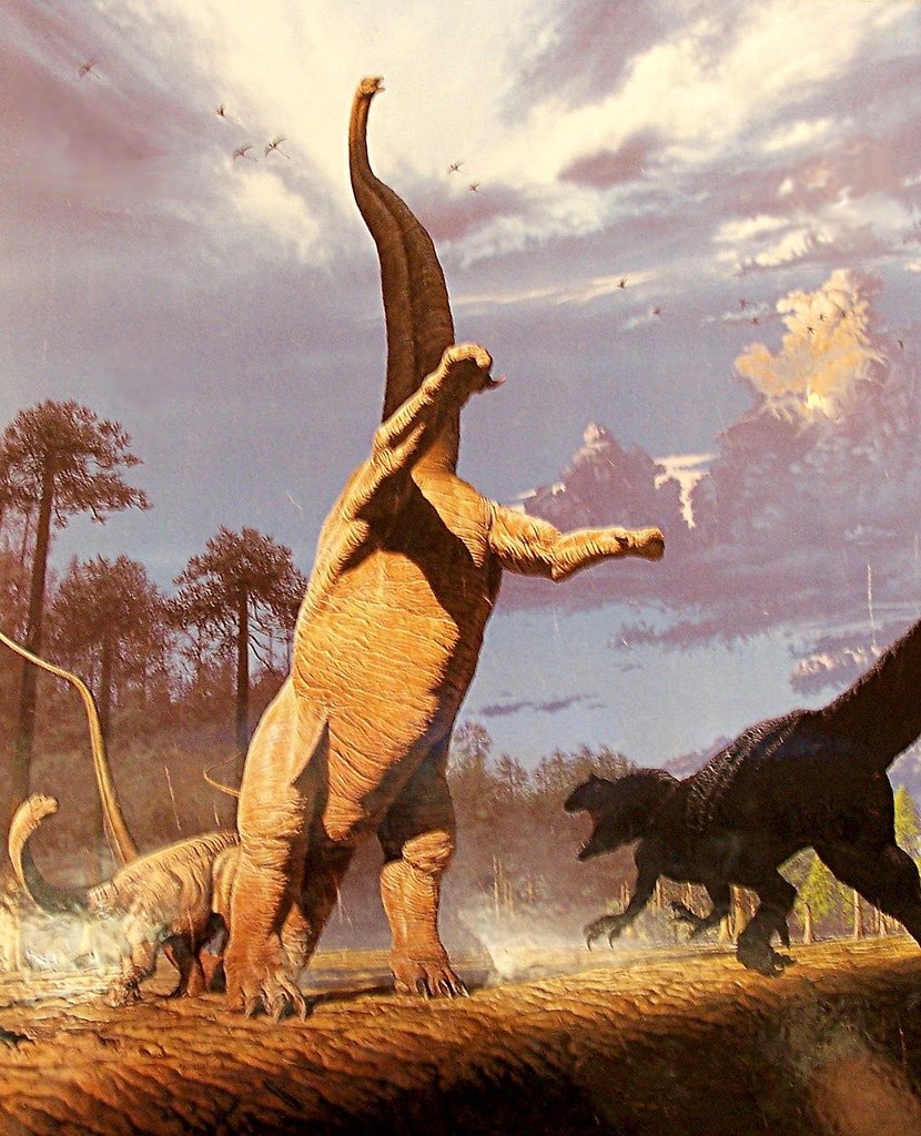 Барозавр (Barosaurus)