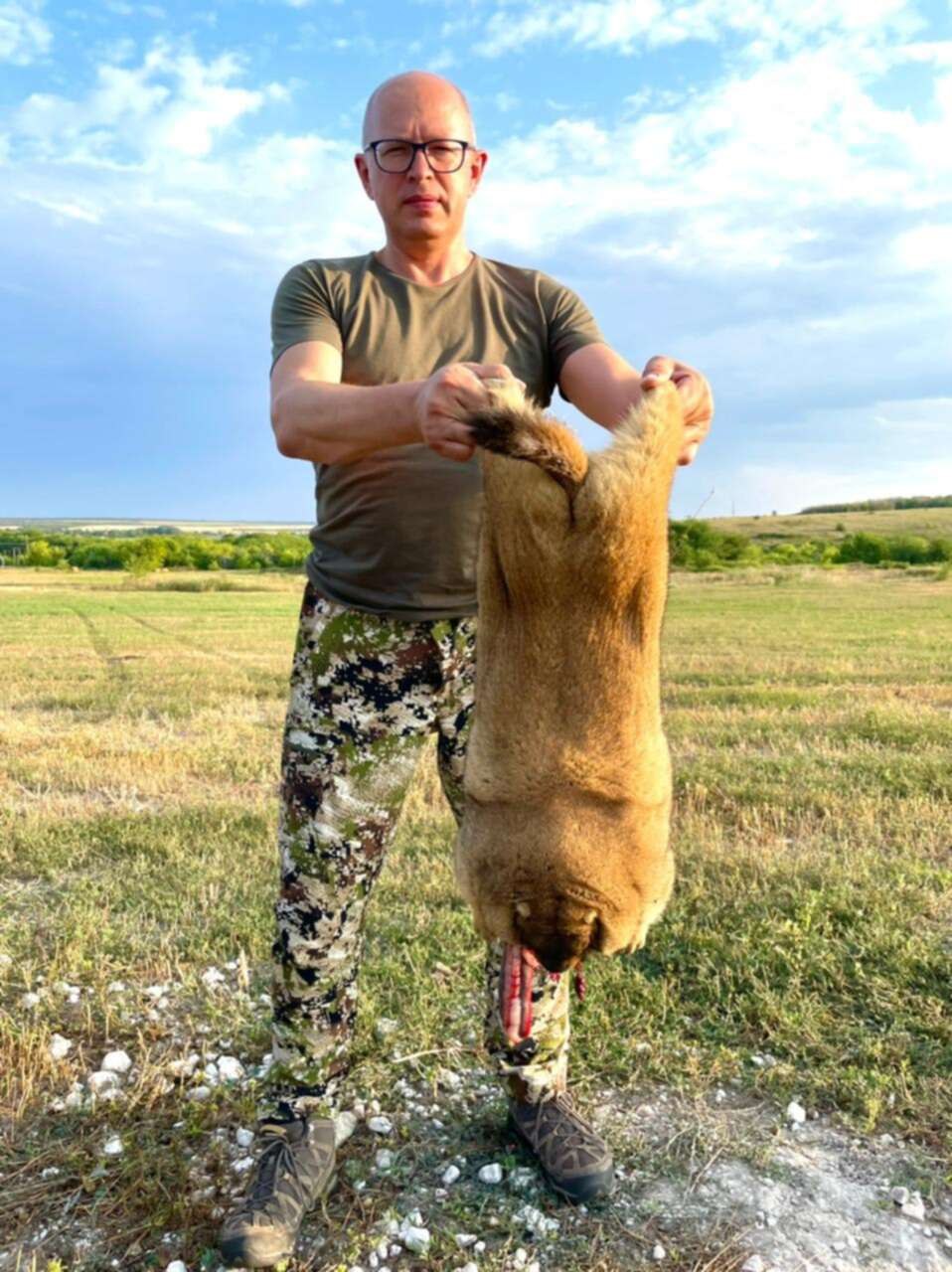 Байбак вес
