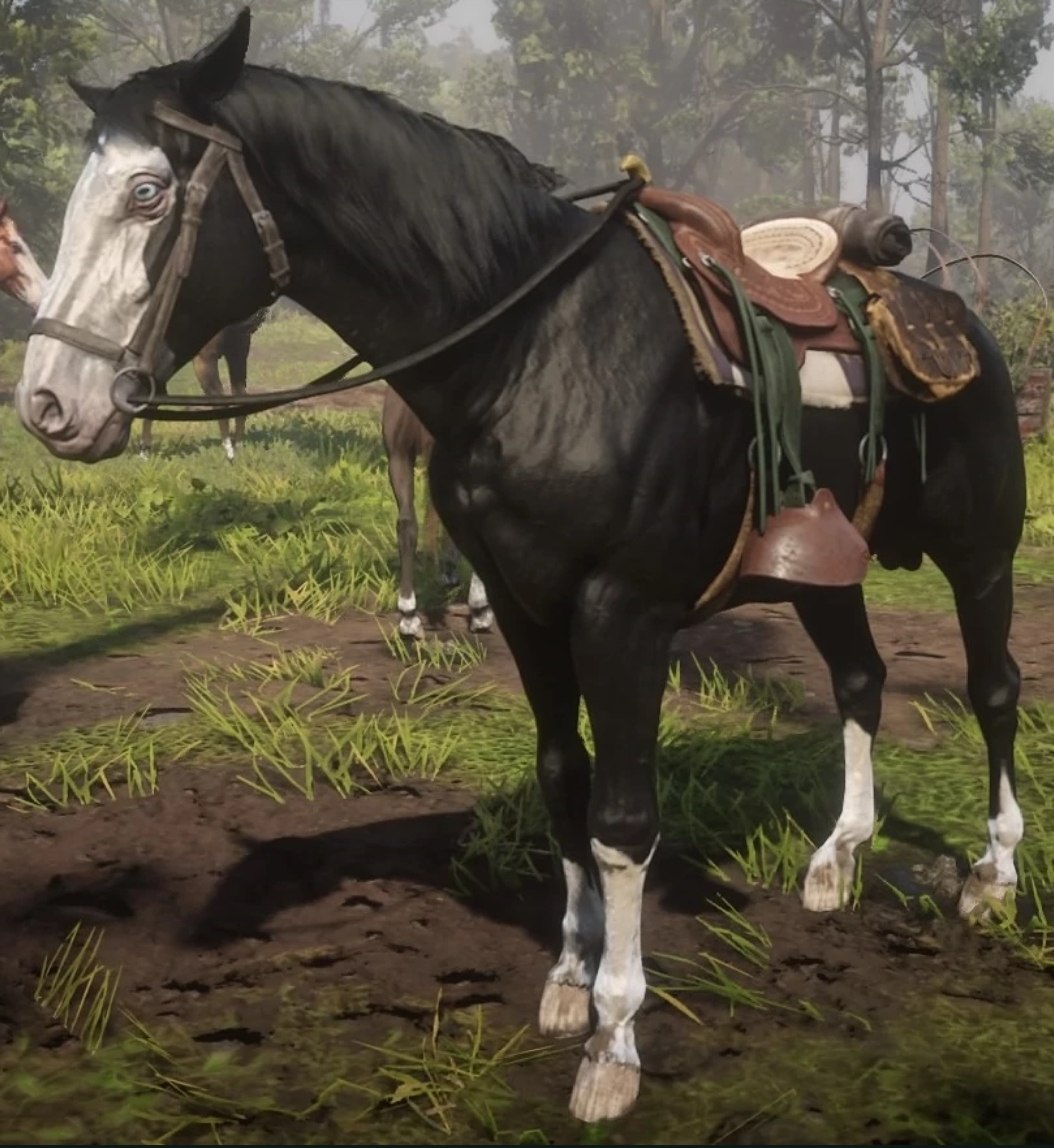 Redemption horse. Миссури Фокс Троттер Red Dead Redemption 2. Креольская лошадь rdr2. Red Dead Redemption 2 лошади.