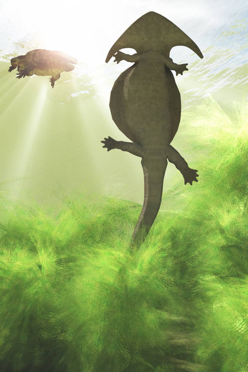 Амфибия Диплокаулус милашка