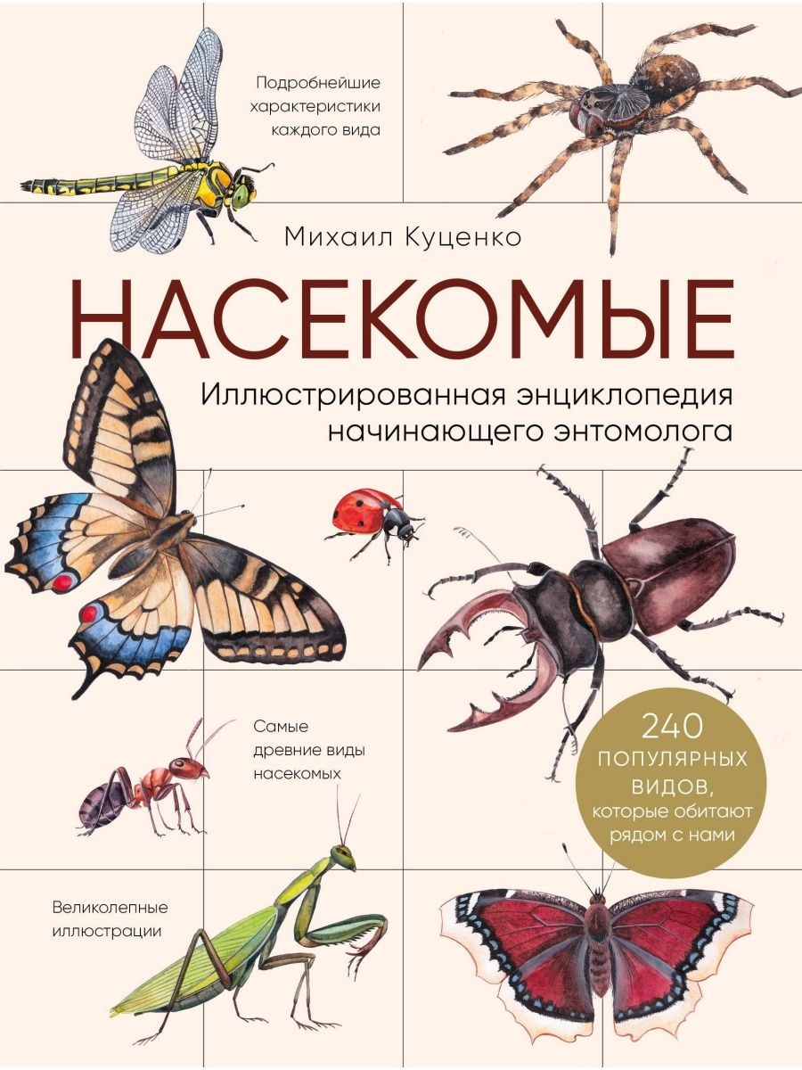 Насекомые нимфиды