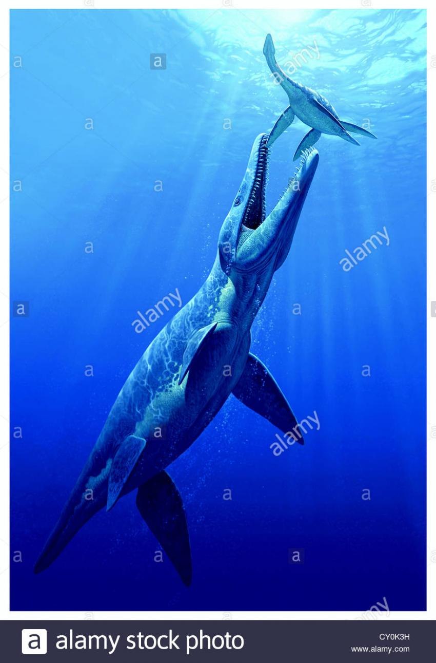 Pliosaurus funkei