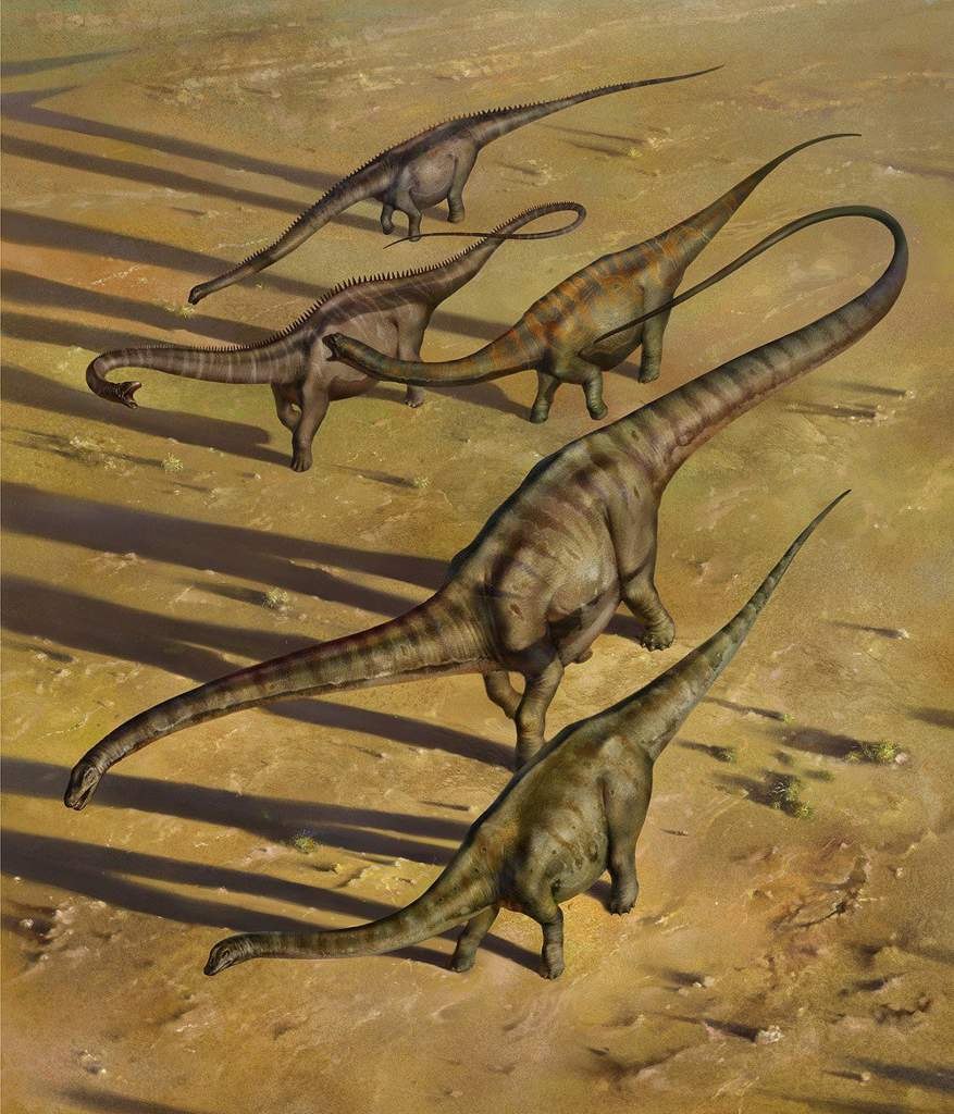 Argentinosaurus huinculensis