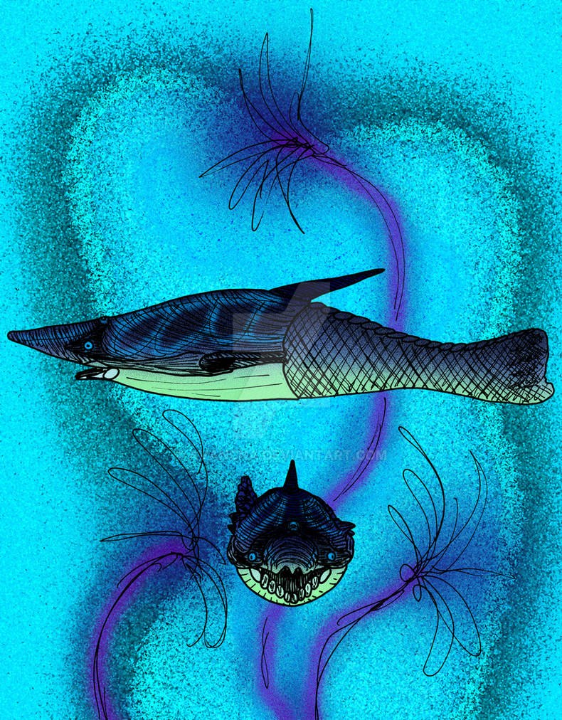Cyathaspidida Poraspis