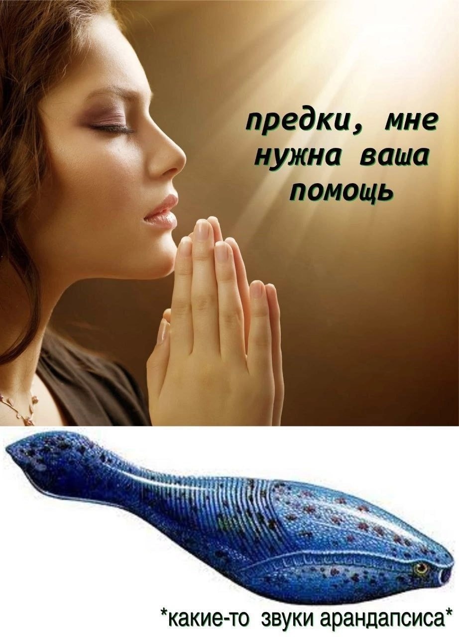 Арандаспис сообщение