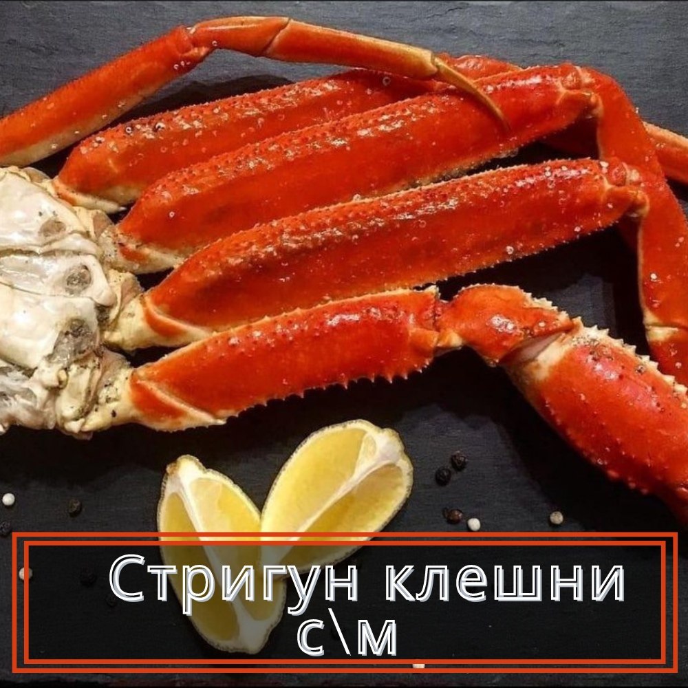 Краб Стригун Opilio