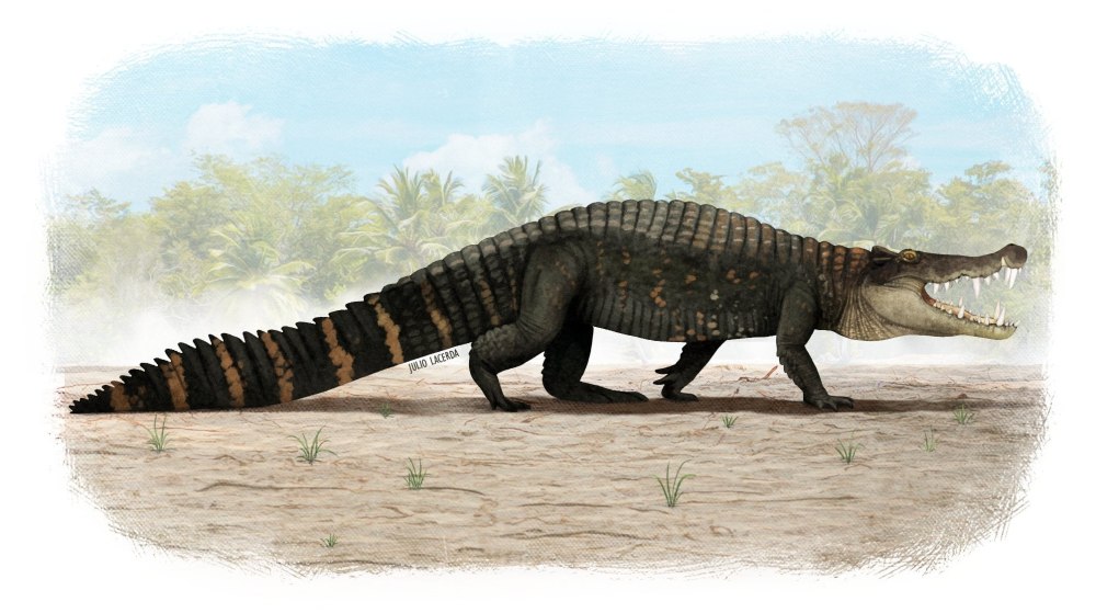Kaprosuchus saharicus