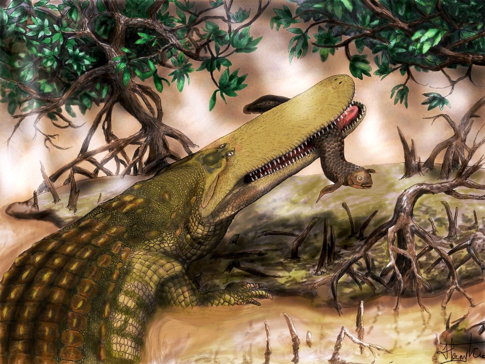 Prehistoric Crocodile