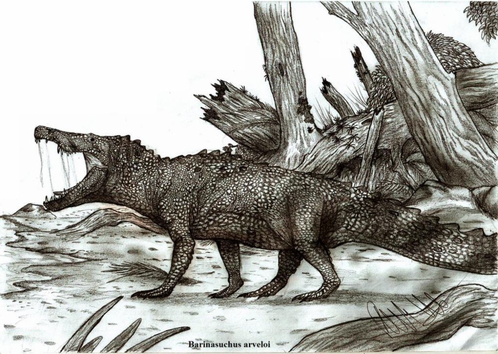 Barinasuchus arveloi