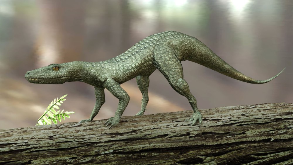 Hesperosuchus Agilis