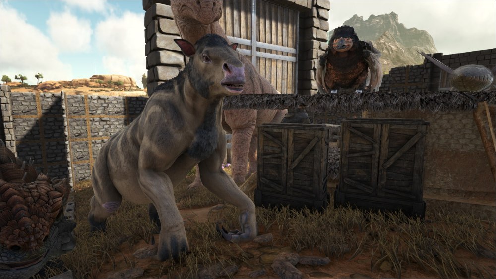 Ark ХАЛИКОТЕРИЙ