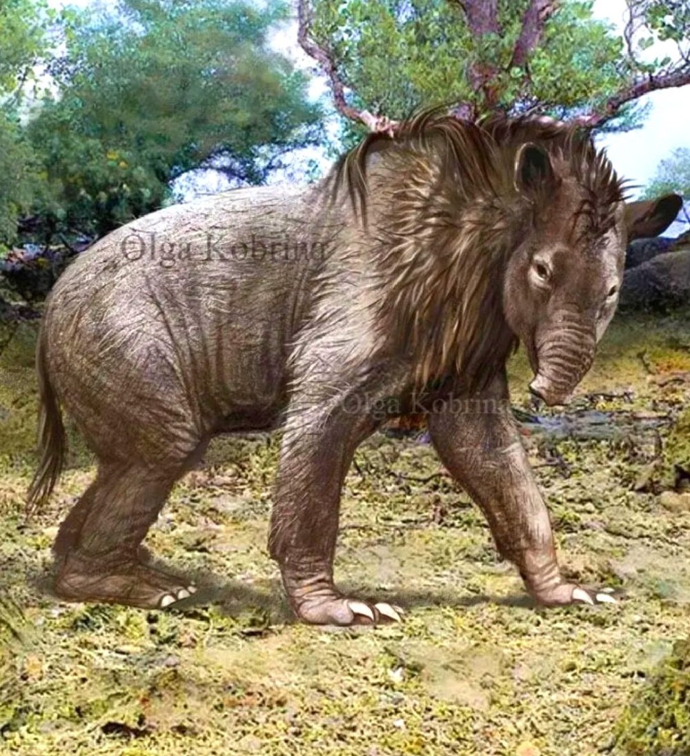 Фауна миоцена Южной Америки