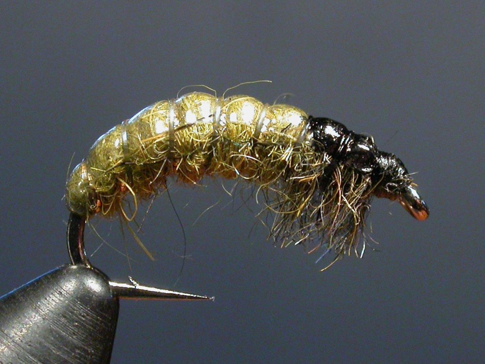 Мушка Hydropsyche nymph