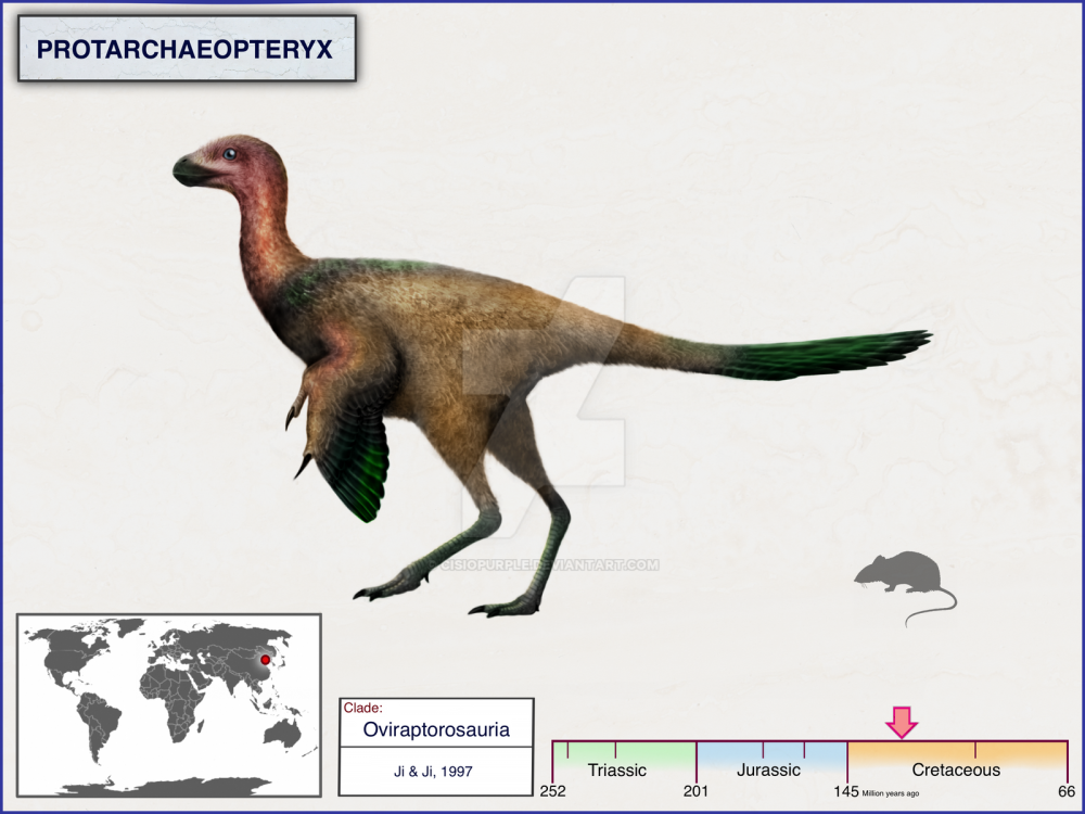 Archaeopteryx cisiopurple