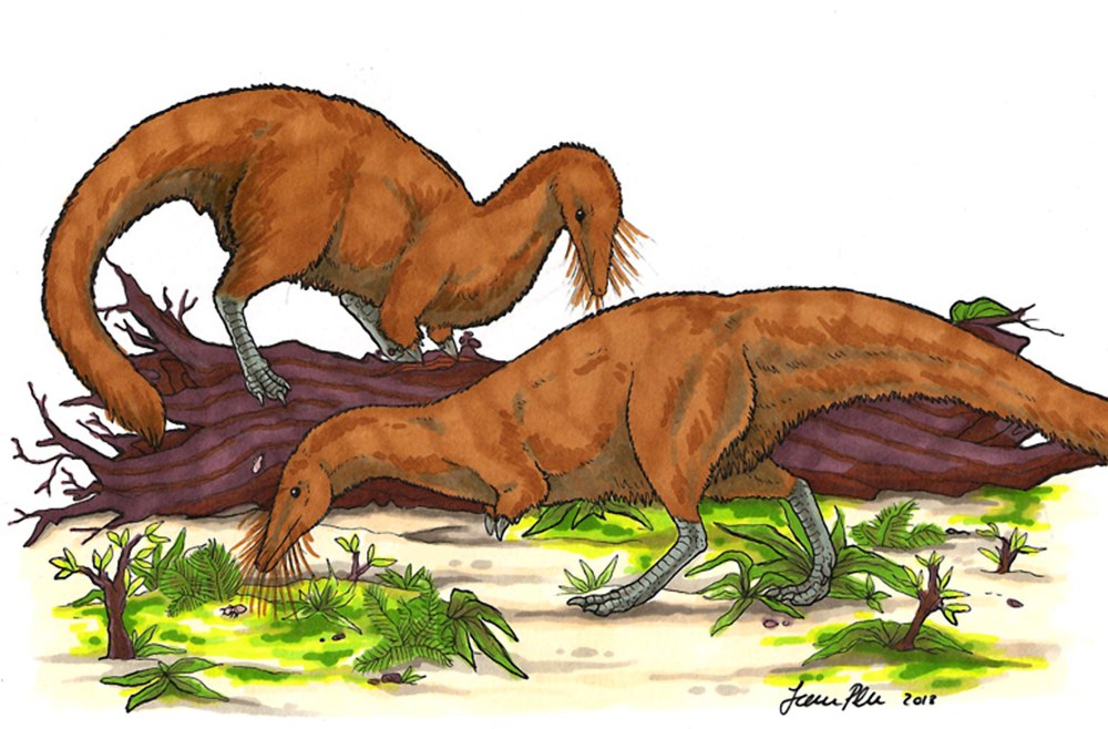 Albertonykus Borealis