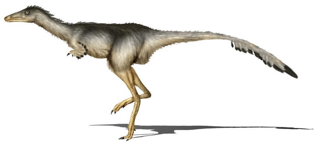 Albertonykus Borealis