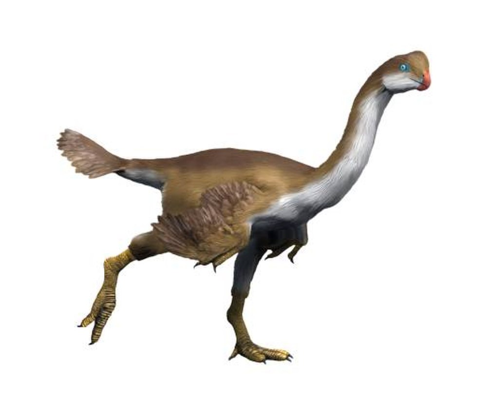 Incisivosaurus Oviraptorosauria