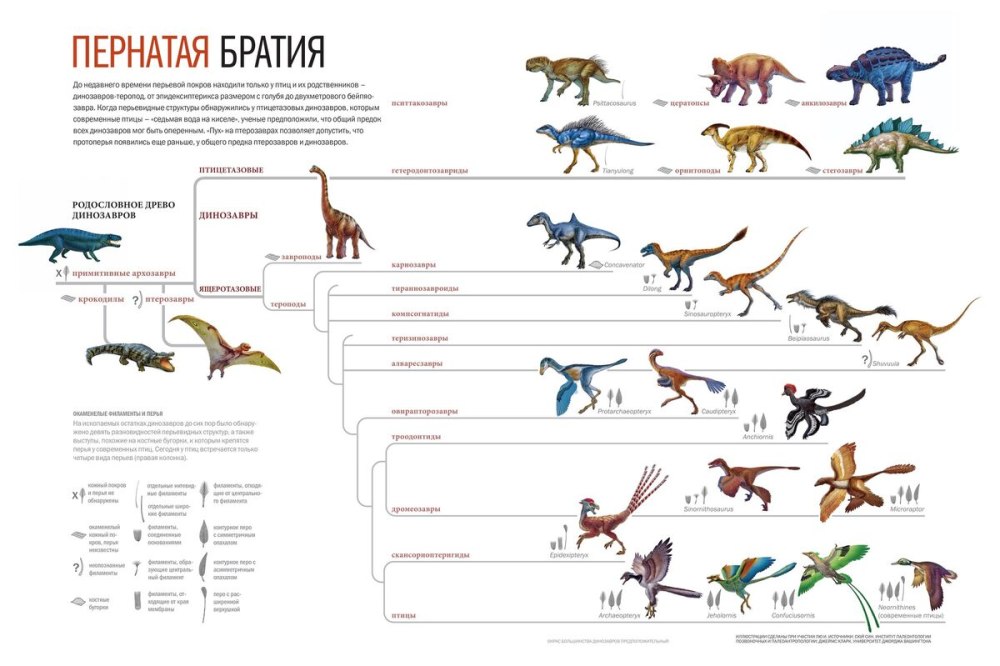 Систематика динозавров схема