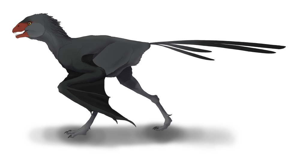 Амбоптерикс (ambopteryx longibrachium)