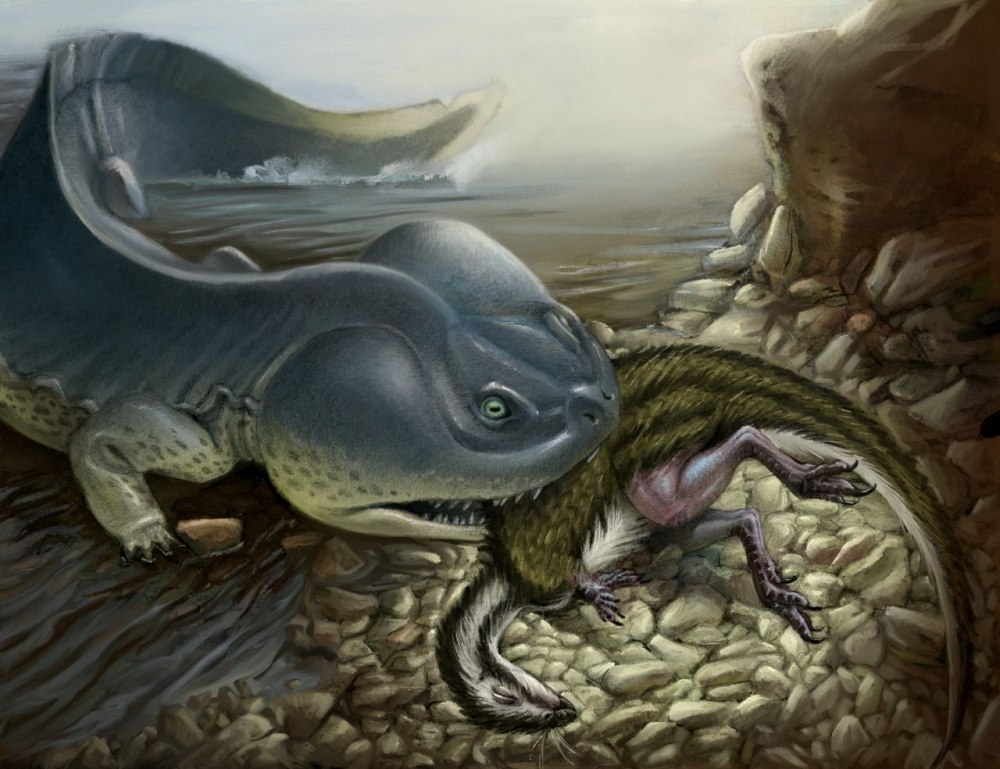 Koolasuchus cleelandi
