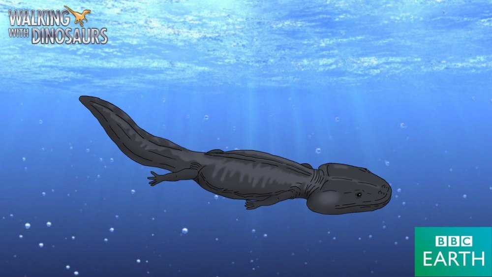 Koolasuchus cleelandi