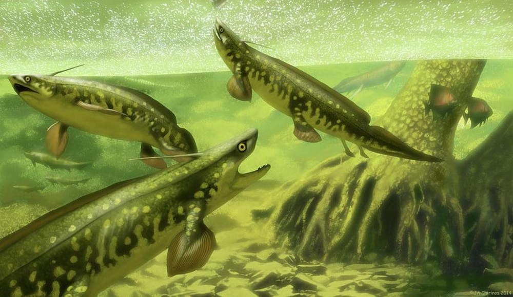 Helicoprion и Xenacanthus